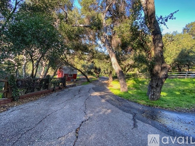 A tree-lined road with a red building in the background.