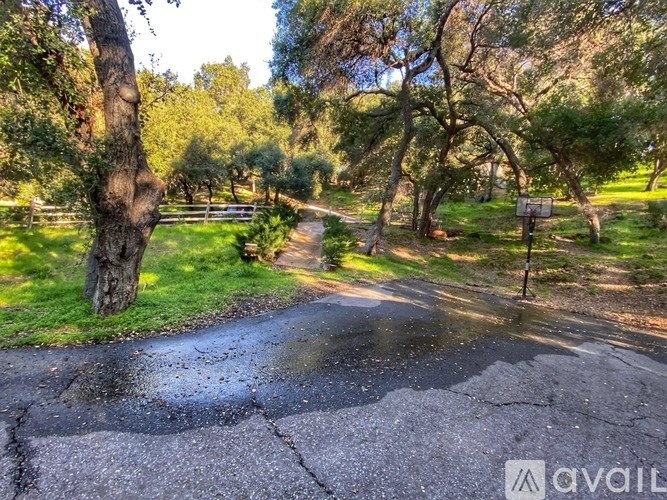 A wet road in a wooded area with a sign on the right.