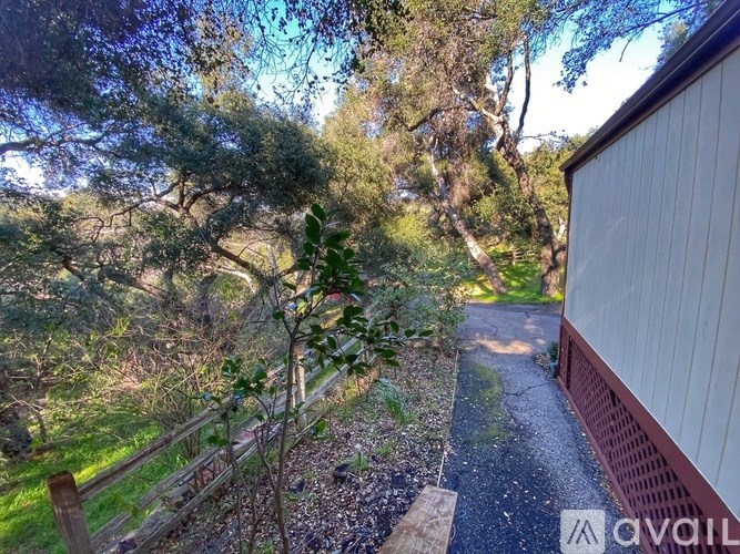A view from a window looking out to a pathway and trees.
