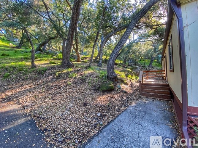 A small tree is growing in a gravel area between a wooden deck and a house.