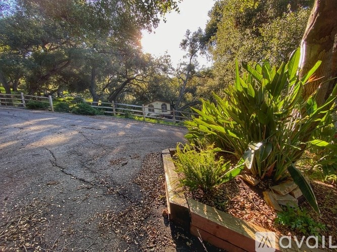 A sunny day at a garden with a wooden fence and a variety of plants.