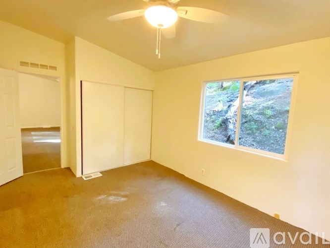 A room with a ceiling fan and a window showing greenery outside.