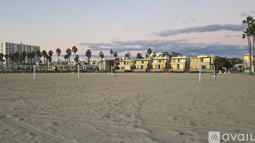 A beach with palm trees and buildings in the background.