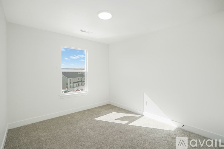A room with a carpet, a window, and a picture on the wall.