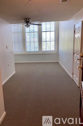 A room with a carpeted floor and a ceiling fan.