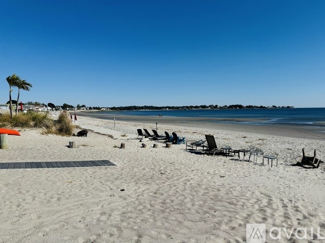 A beach scene with chairs and a palm tree.
