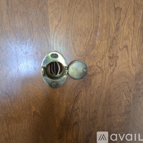 A brass door knocker on a wooden surface.