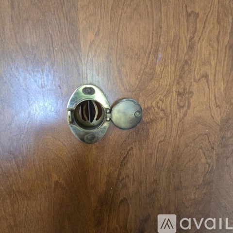 A brass door knocker on a wooden surface.
