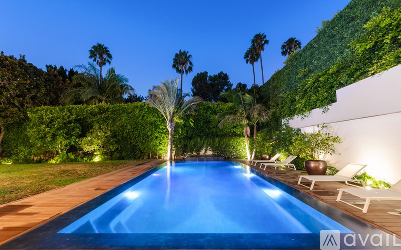 A pool surrounded by a green hedge and palm trees.