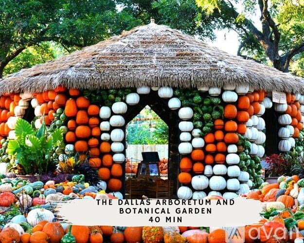 A pumpkin patch with a hut made of pumpkins and a sign that says "The Dallas Arboretum and Botanical Garden 40 min.".