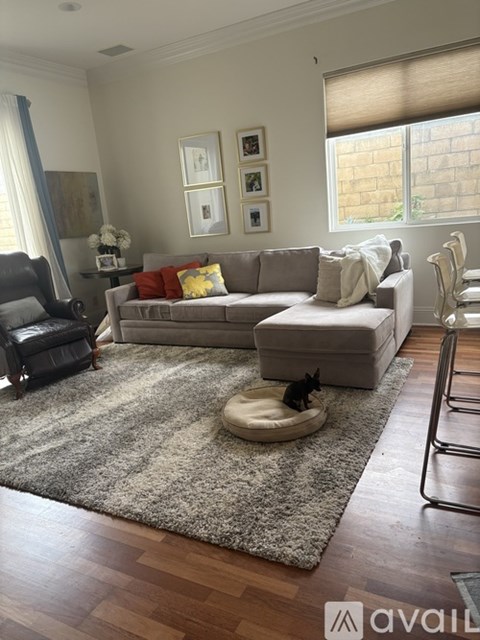 A living room with a grey couch and a black chair.