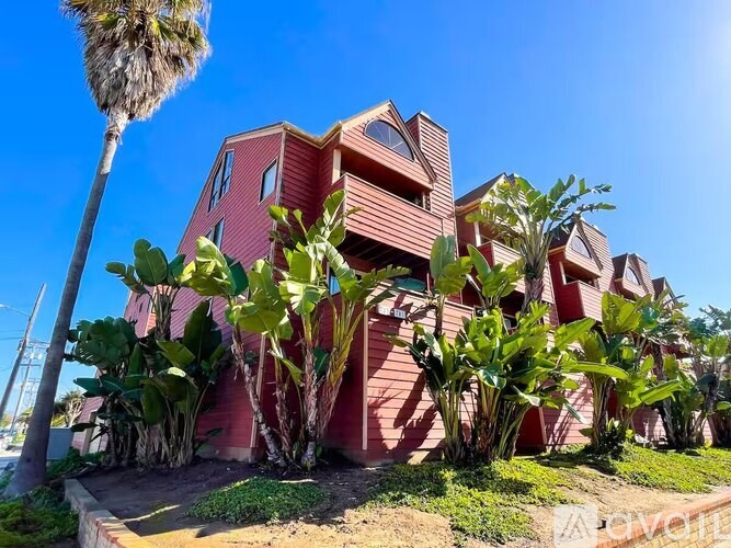 A red house with a palm tree in front.
