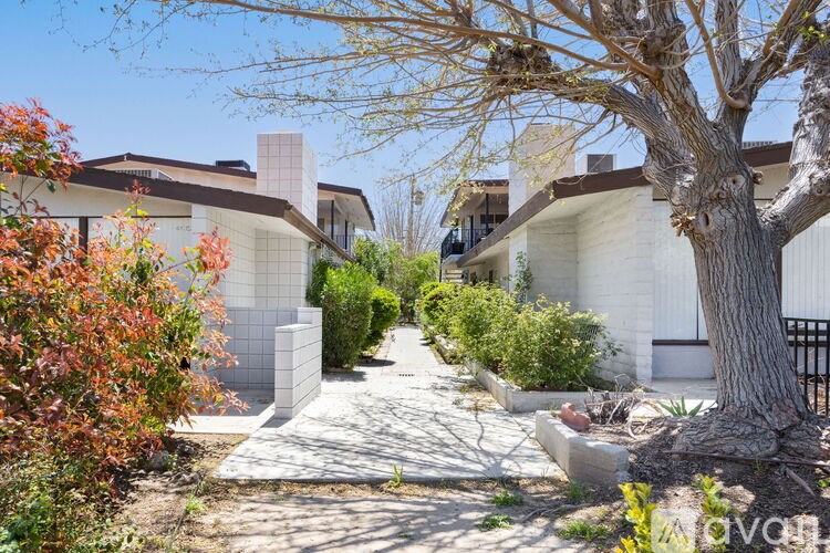 A tree in a yard with a house in the background.