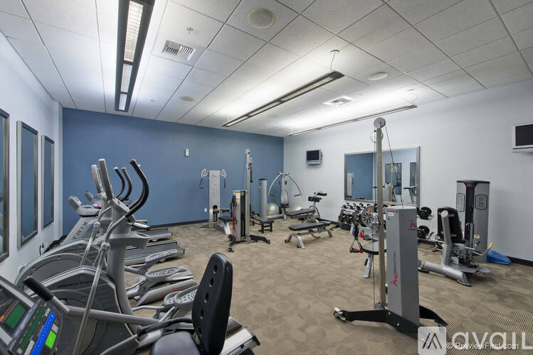 A gym with treadmills, exercise bikes, and other equipment.