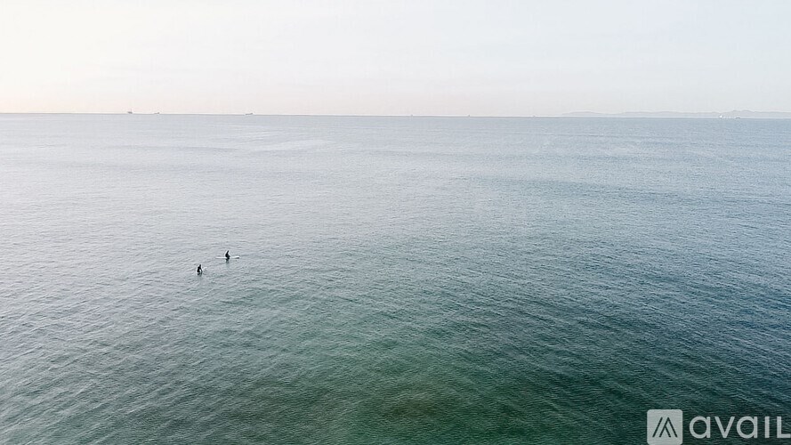 A group of people are standing in the ocean.