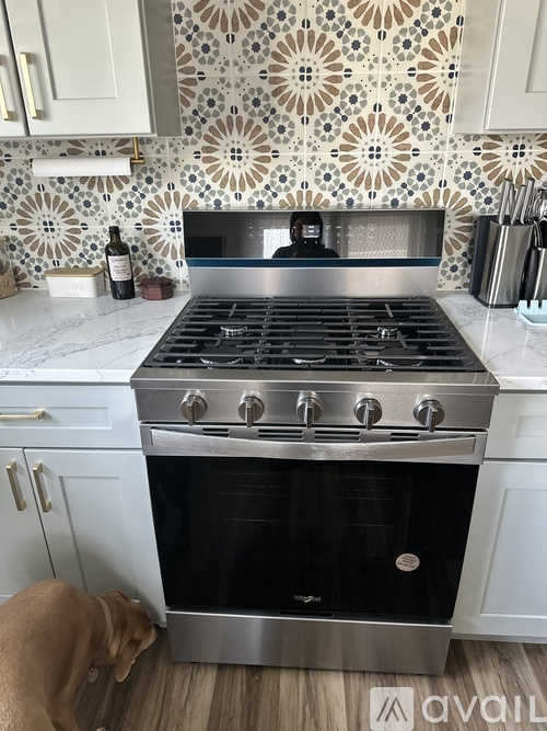 A dog sniffing a stove in a kitchen.