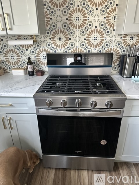 A dog sniffing a stove in a kitchen.