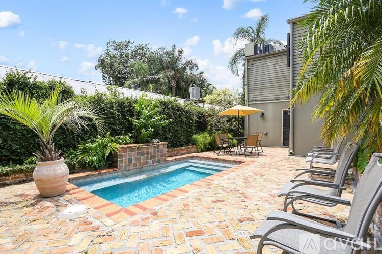 A pool surrounded by chairs and a large potted plant.
