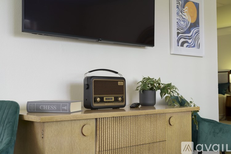 A black radio is on a wooden cabinet with a green plant and a book titled "CHESS".