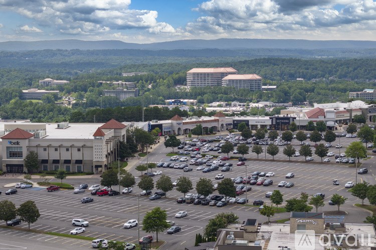 A parking lot with cars and a mountain in the background.
