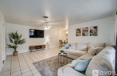 A living room with a couch, a plant, and a television.
