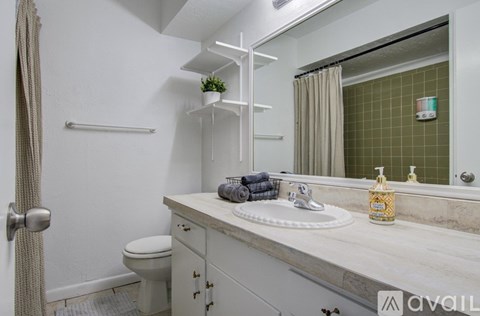 A bathroom with a white countertop and a white toilet.