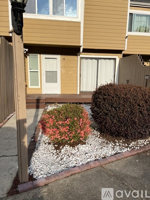 A brown building with a white door and windows, a small garden with a hedge and flowers, and a lamp post.