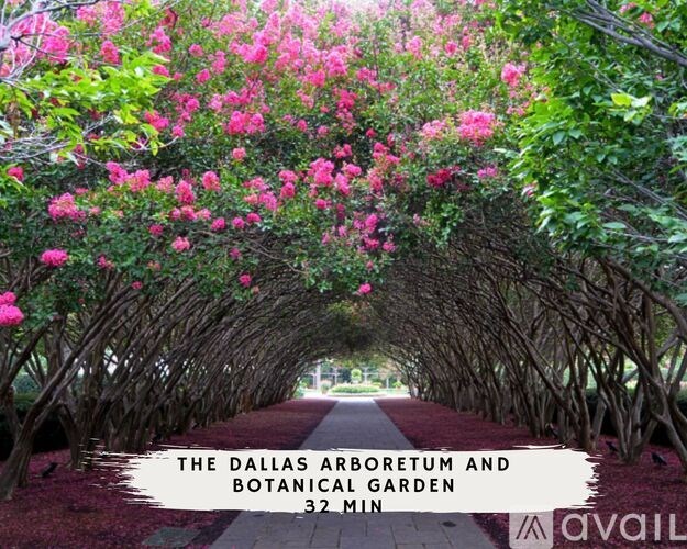 A tunnel of pink flowers is lined with greenery and leads to a path.