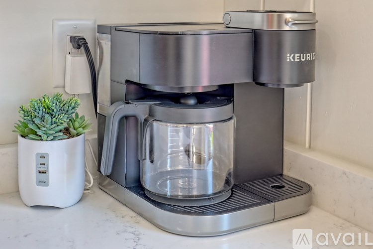 A Keurig coffee maker is on a countertop next to a plant.