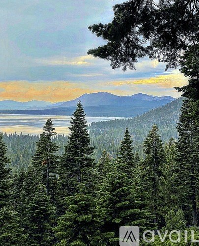 A forest of tall trees overlooks a lake and distant mountains.
