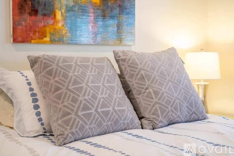 Two pillows with geometric patterns on a bed.
