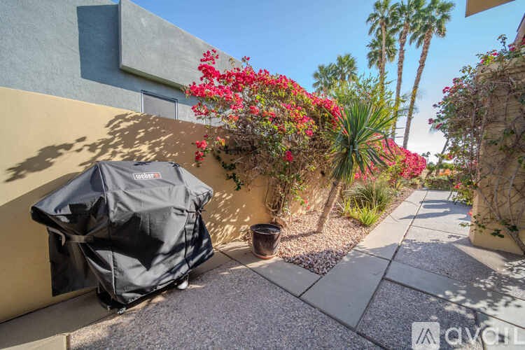 A patio with a black bag and a potted plant with red flowers.