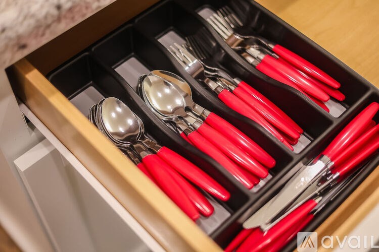 A set of red and silverware in a black case.