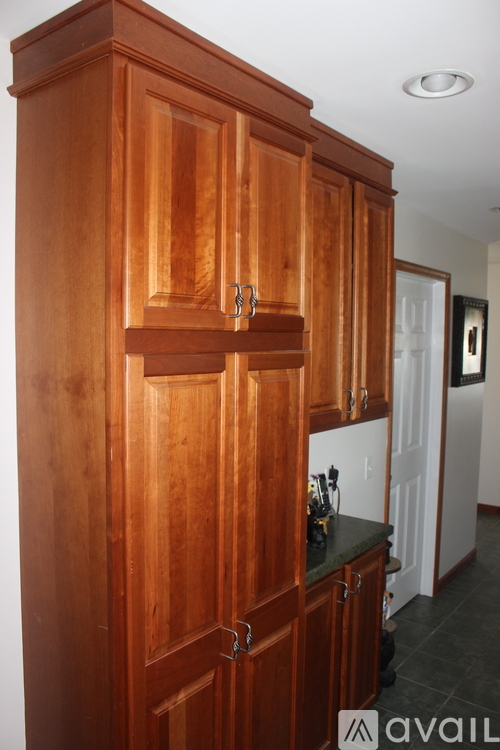 A tall wooden cabinet with a black countertop and a white door in the background.