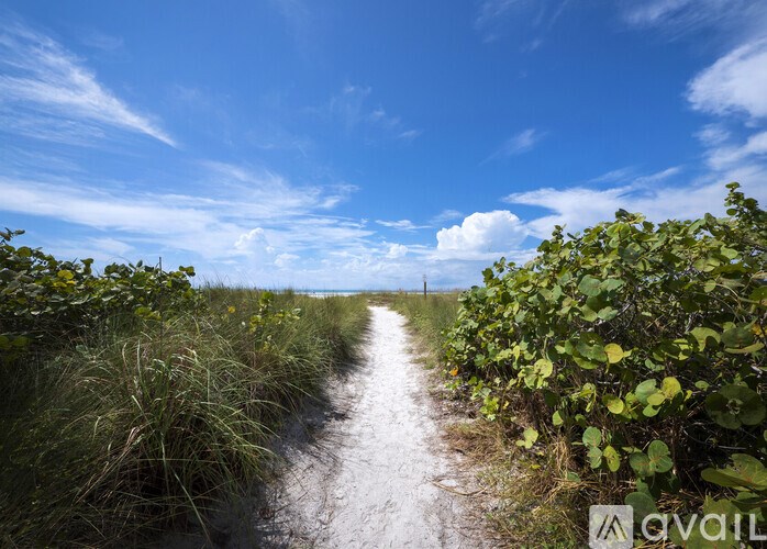 A path through a grassy area with a clear blue sky above.