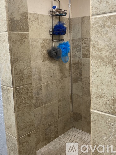 A shower with a blue sponge hanging on the wall.