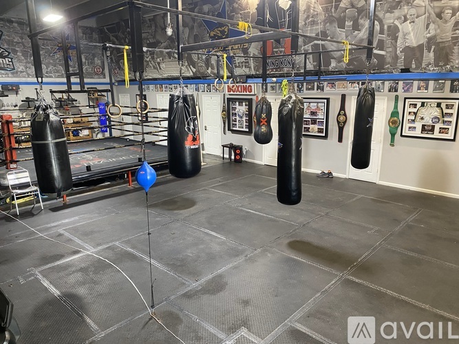 A boxing gym with punching bags and a blue balloon in the center.