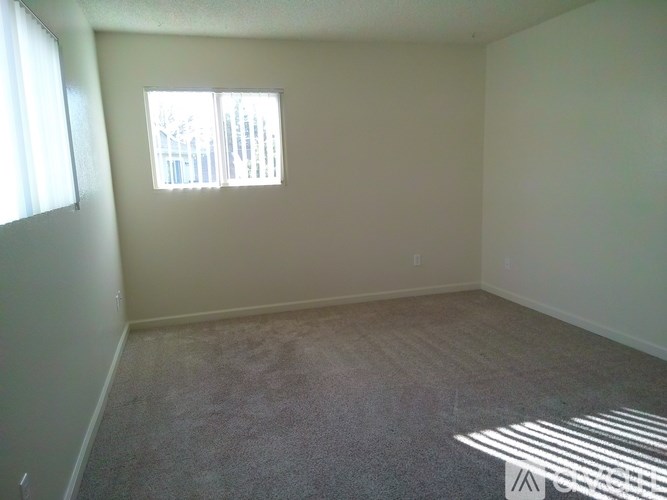 A room with a carpeted floor and a window letting in sunlight.