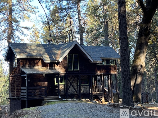 A wooden cabin in the woods with a gravel driveway leading to the front door.