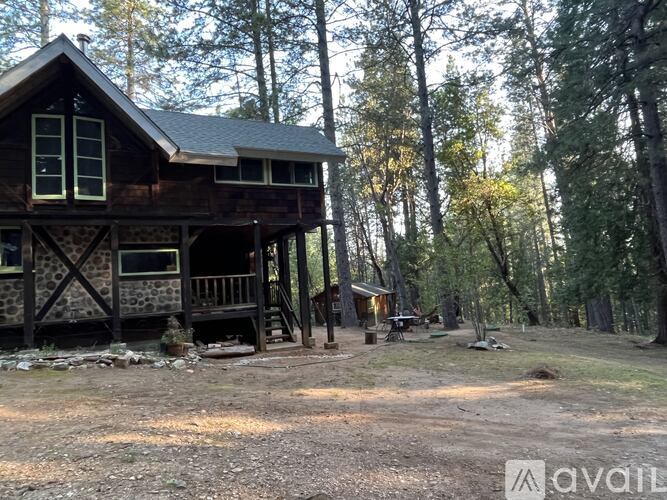 A wooden cabin is surrounded by trees in a forest.