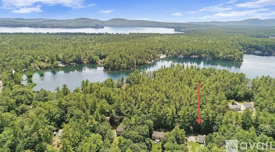A red arrow is pointing to a house in a wooded area.