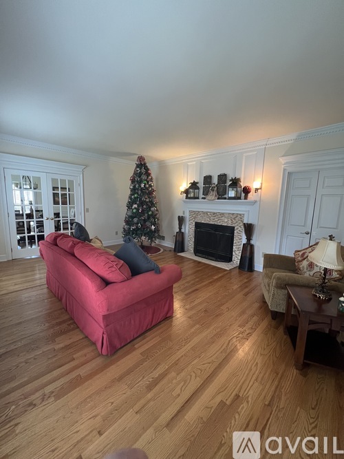 A living room with a red couch and a Christmas tree.