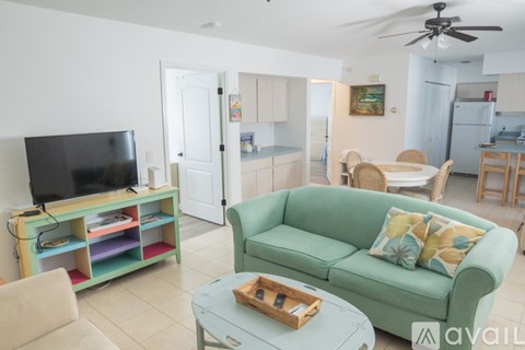 A living room with a green couch and a television.