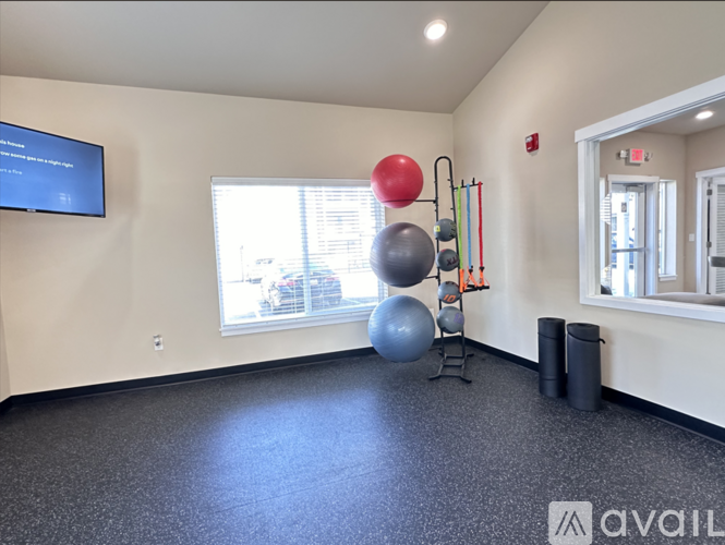 A gym room with a blue screen on the wall and a row of exercise balls on a stand.