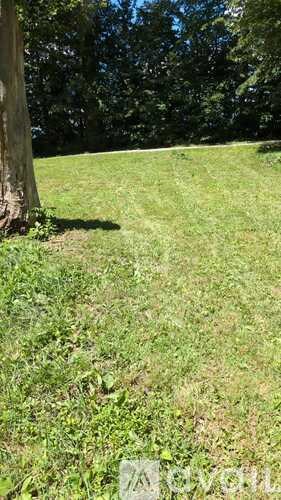 A grassy field with a tree trunk on the left side.