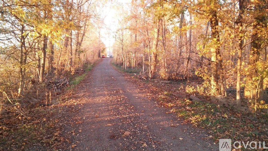 A dirt road surrounded by trees with the sun shining through the trees.