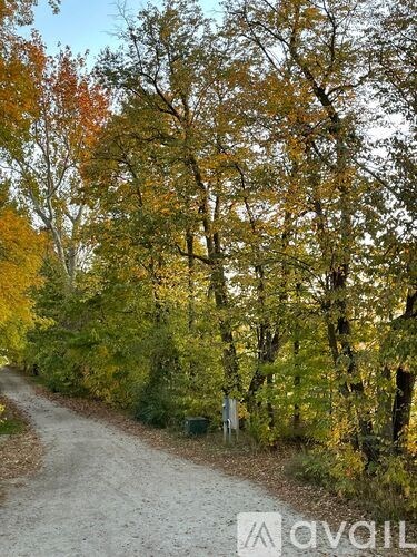 A gravel road winds through a forest of trees with autumn leaves.