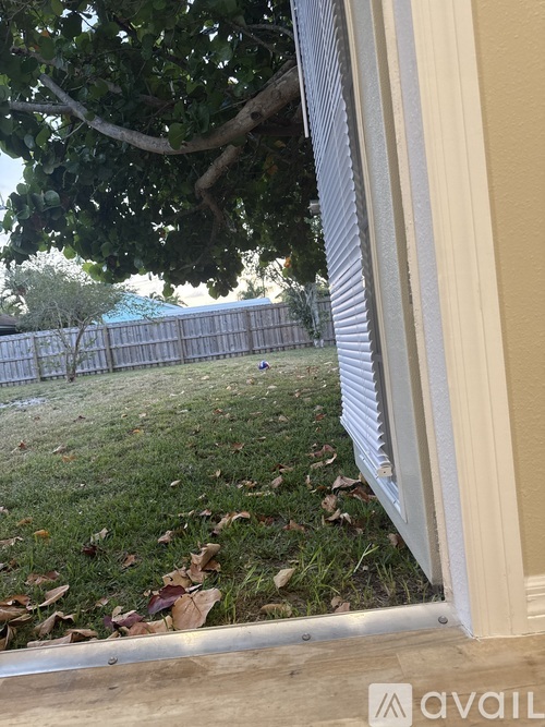 A window with a view of a backyard and a fence.