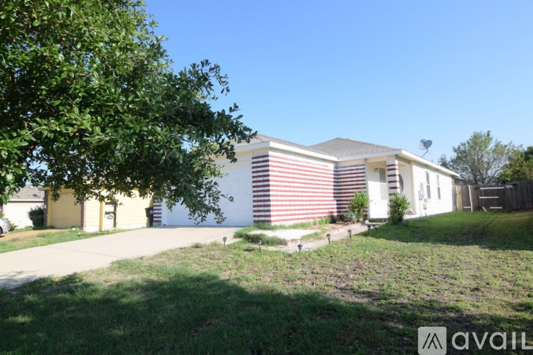 A house with a striped wall and a tree in front.