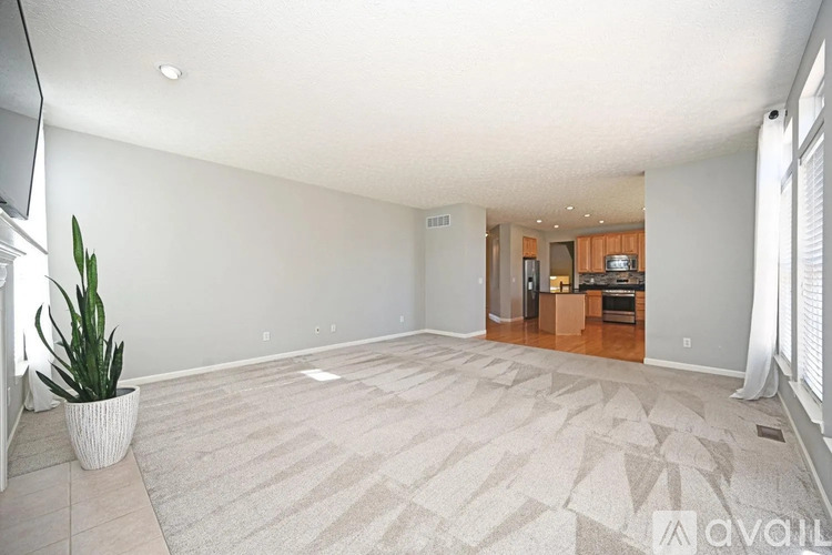 A living room with a carpet and a plant.